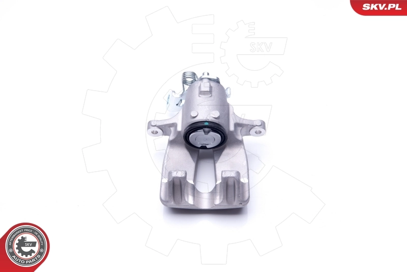 Brake Caliper 42SKV068