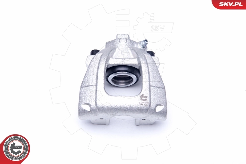 Brake Caliper 42SKV261