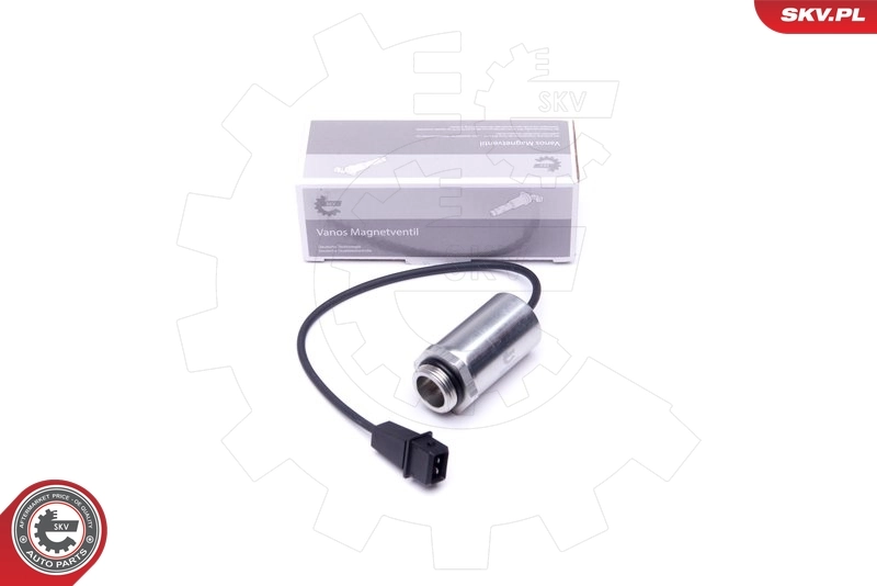 Control Valve, camshaft adjustment 39SKV048