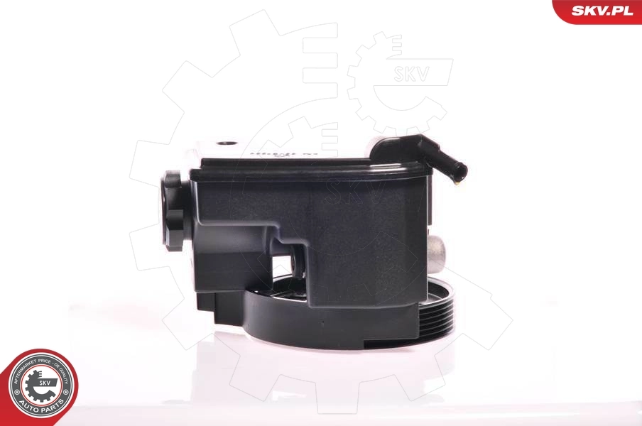 Hydraulic Pump, steering 10SKV159