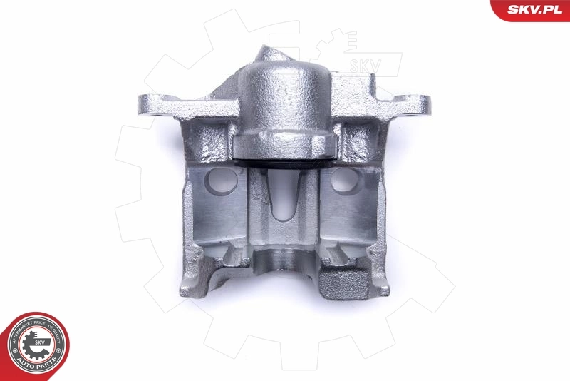 ESEN SKV 50SKV972 Brake Caliper