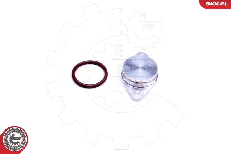 ESEN SKV 49SKV572 Repair Kit, intake manifold module