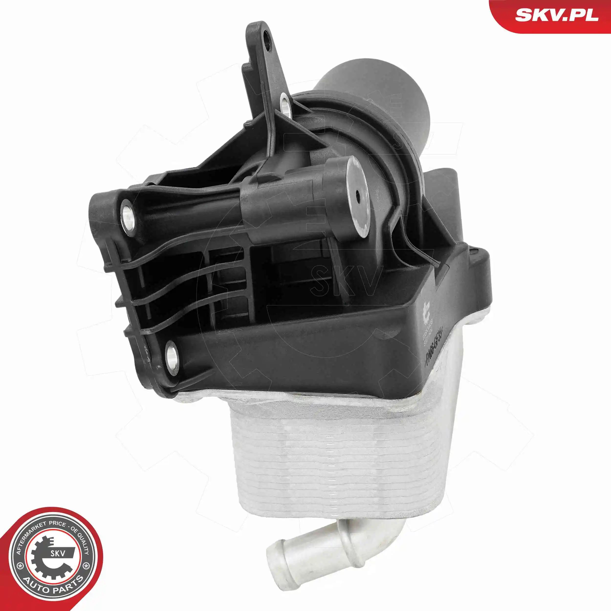 Oil Cooler, engine oil 31SKV439