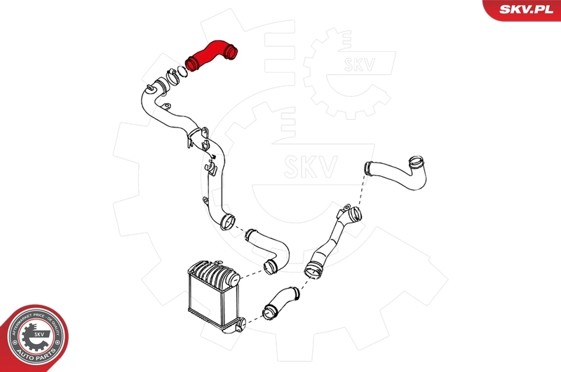 Charge Air Hose 24SKV010