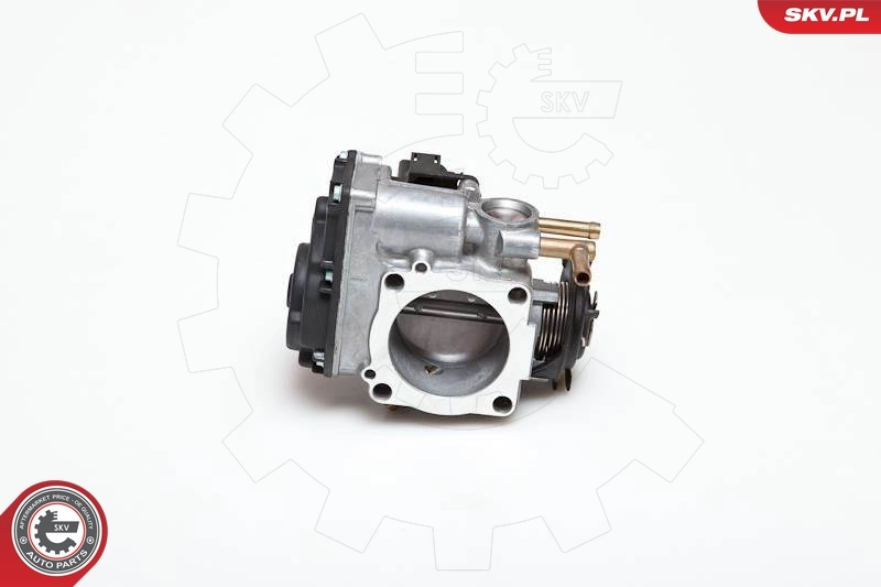 Throttle Body 12SKV009