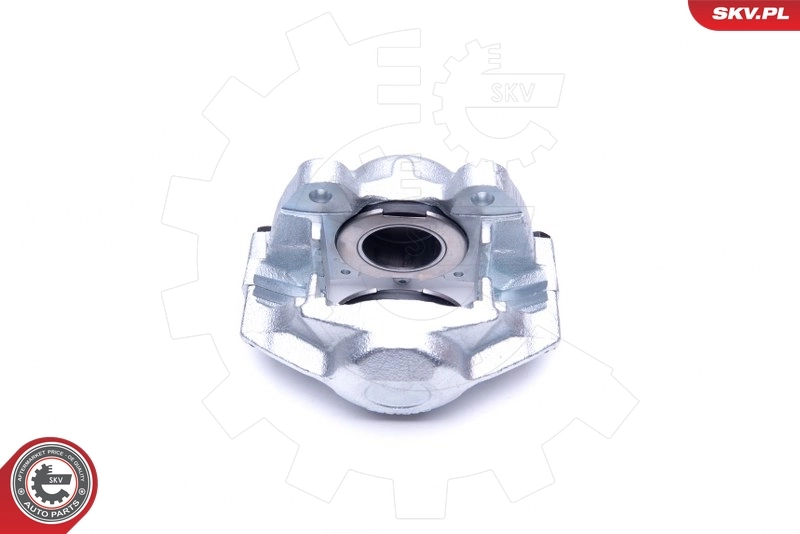 Brake Caliper 45SKV242