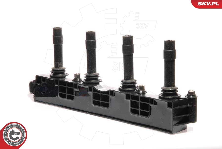 Ignition Coil 03SKV013