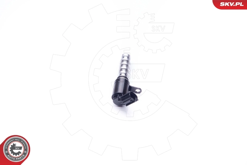 Control Valve, camshaft adjustment 39SKV020