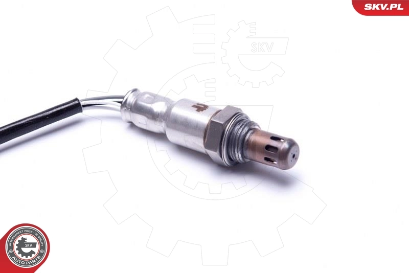 Oxygen Sensor 09SKV117