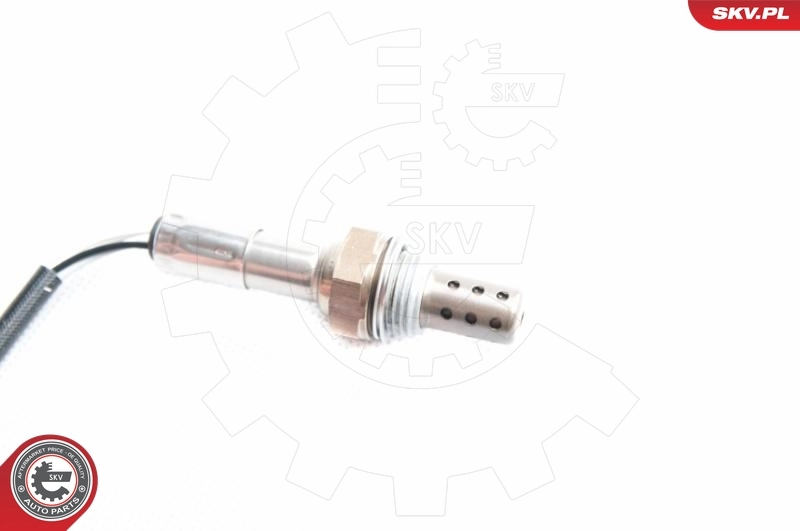 Oxygen Sensor 09SKV093