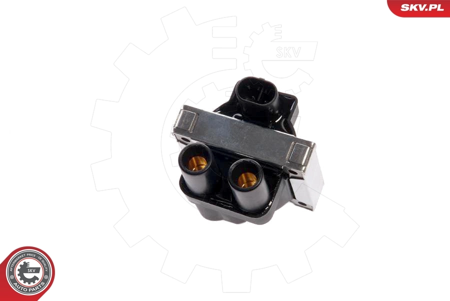 Ignition Coil 03SKV003