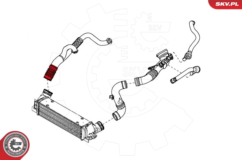 Charge Air Hose 43SKV085