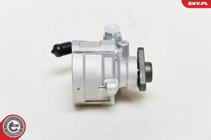 Hydraulic Pump, steering 10SKV061