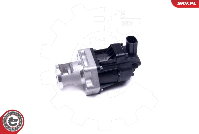 EGR Valve 14SKV217