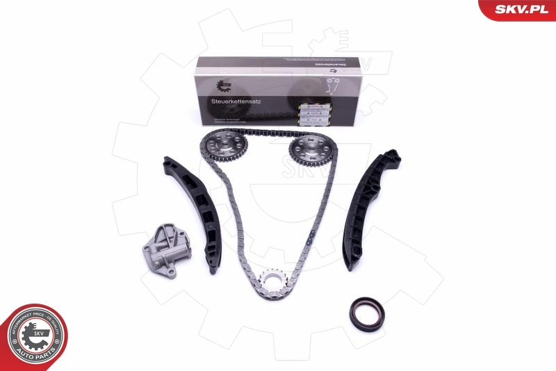 Timing Chain Kit 21SKV147