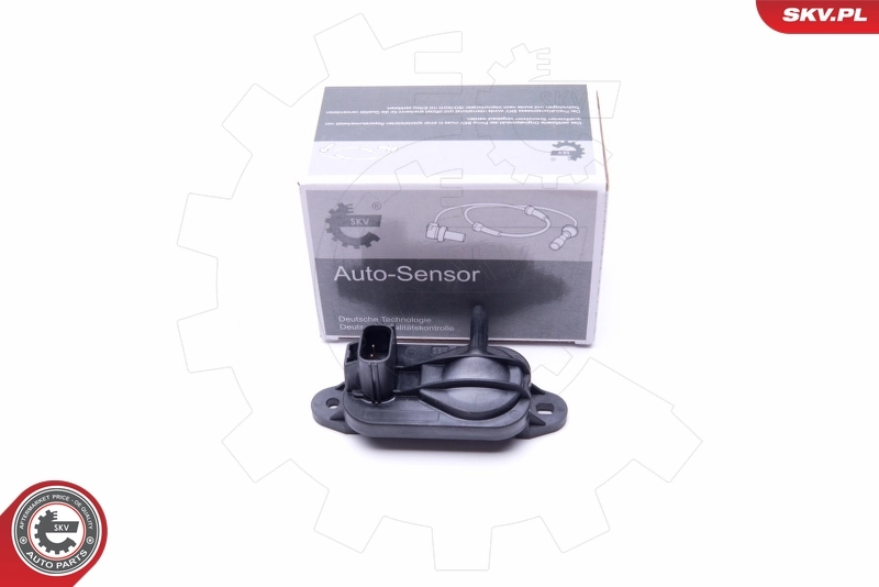 Sensor, exhaust pressure 17SKV328