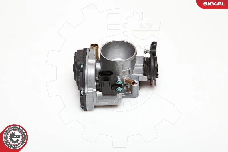 ESEN SKV 12SKV005 Throttle Body