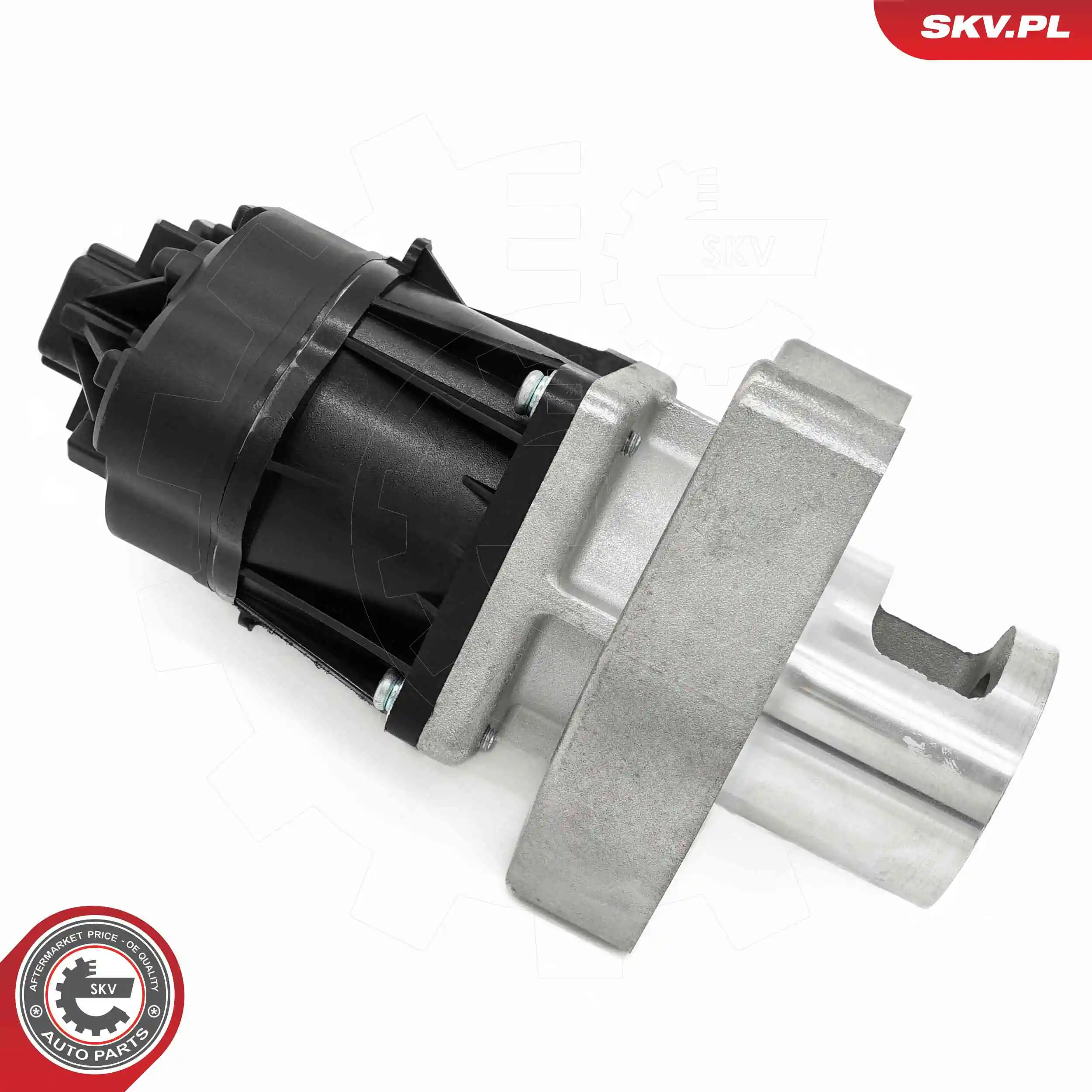 ESEN SKV 14SKV254 EGR Valve