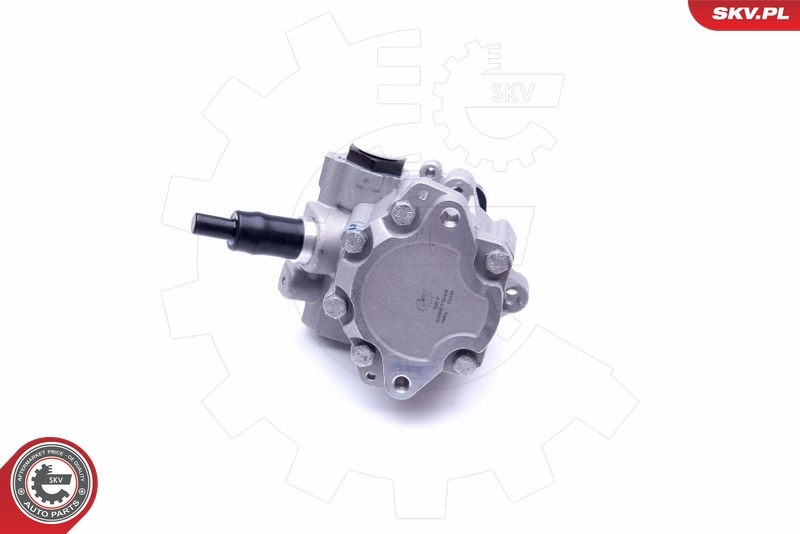 Hydraulic Pump, steering 10SKV249