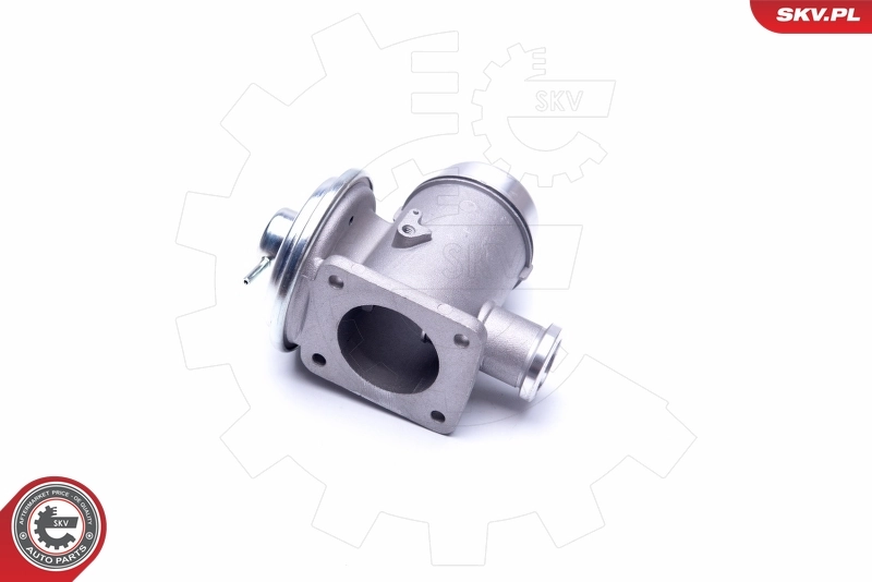 EGR Valve 14SKV176