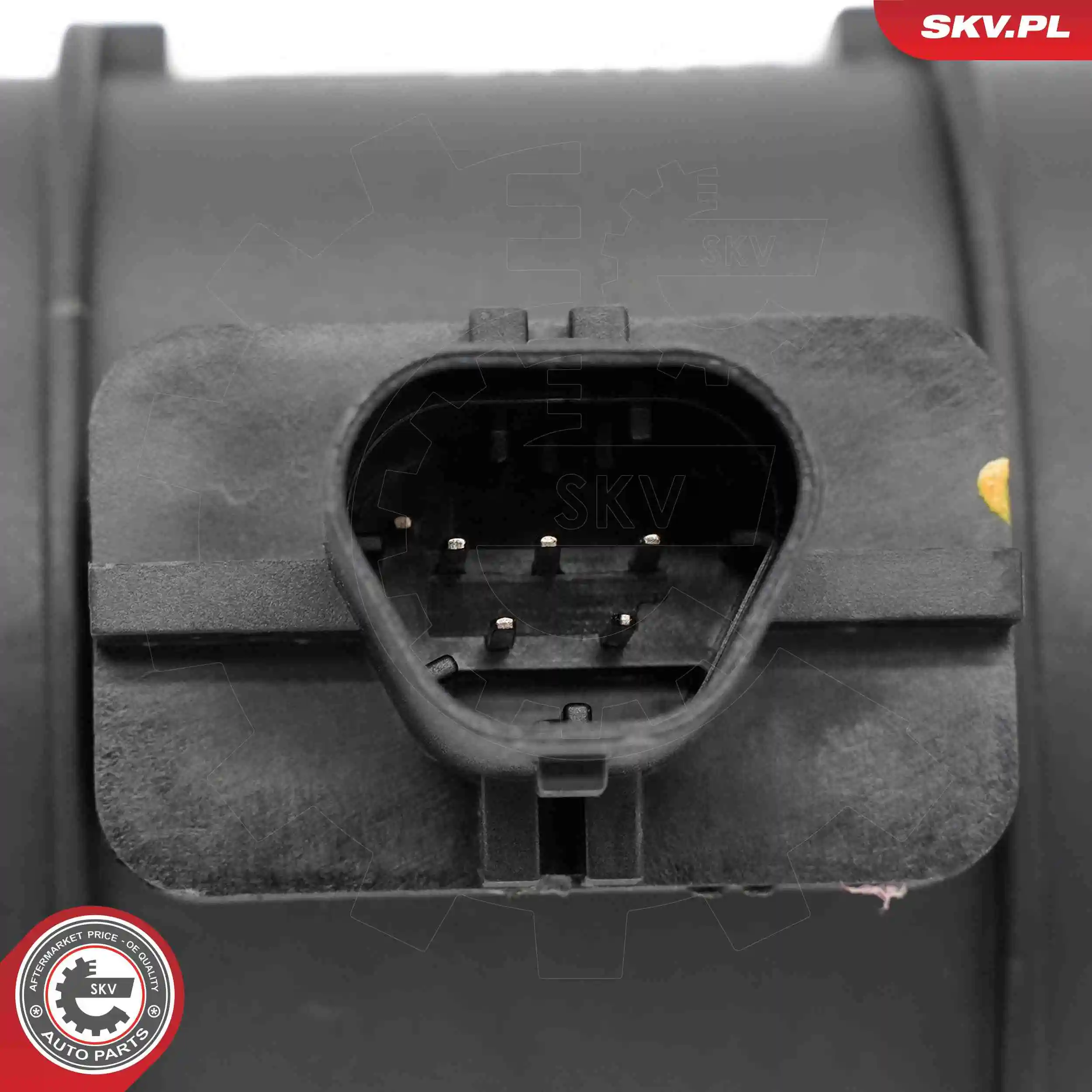 Mass Air Flow Sensor 07SKV233