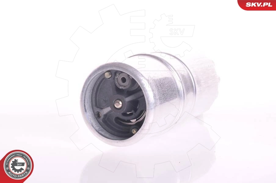Fuel Pump 02SKV202