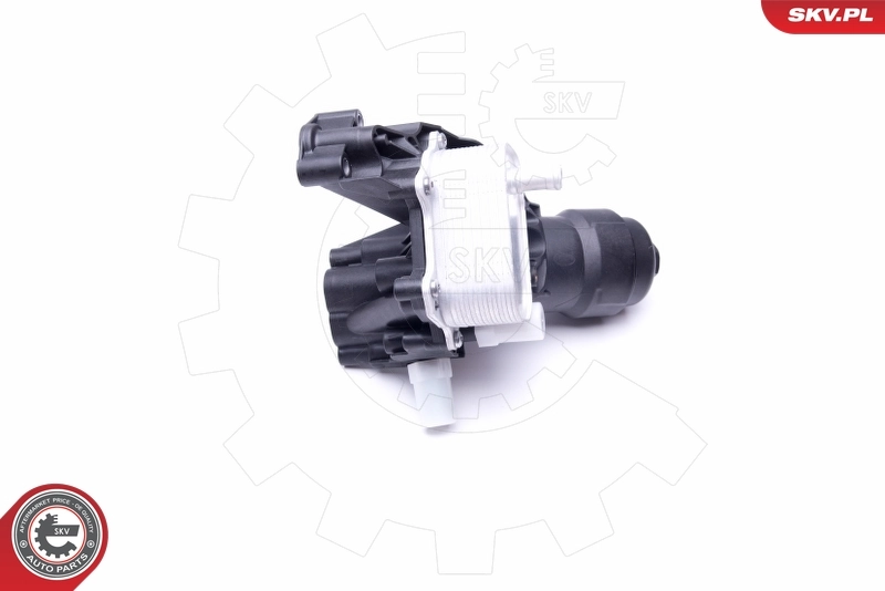 Oil Cooler, engine oil 31SKV166