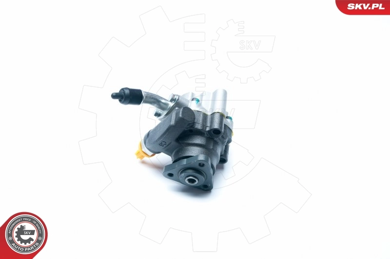 Hydraulic Pump, steering 10SKV189