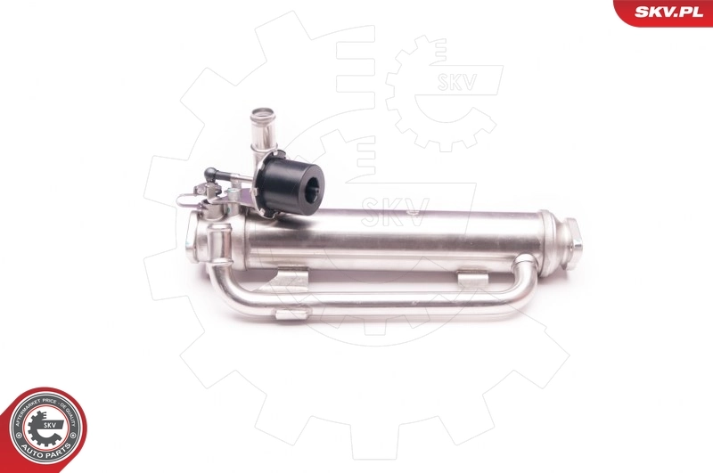 EGR Valve 14SKV126