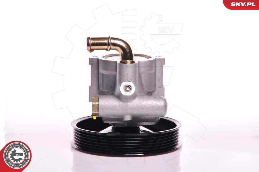 Hydraulic Pump, steering 10SKV164