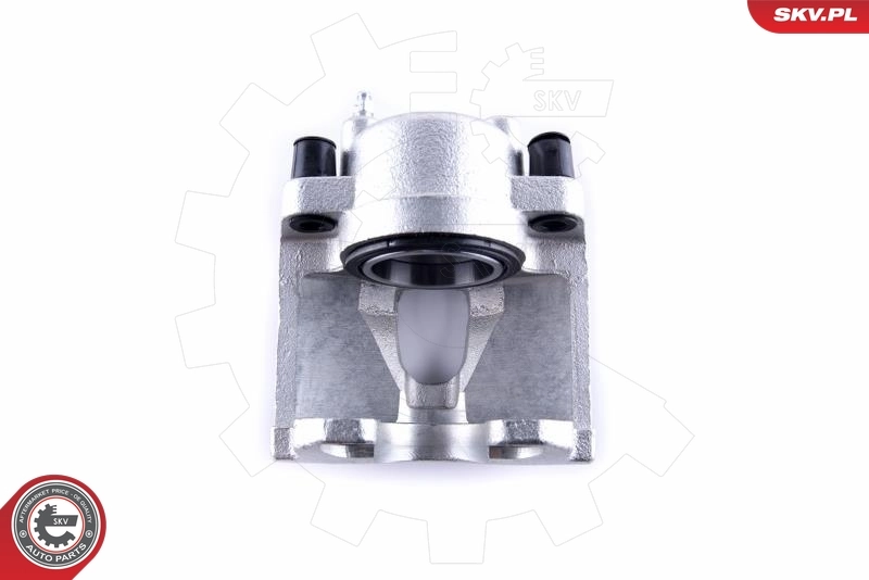 Brake Caliper 50SKV991