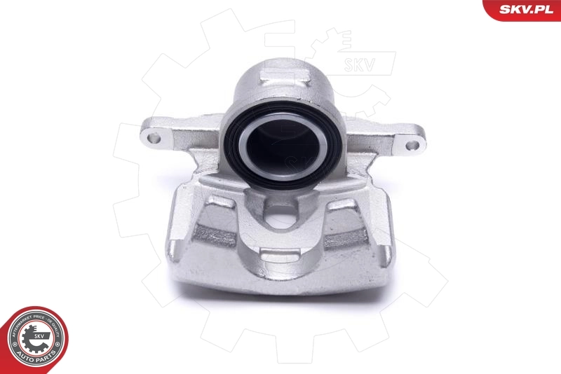 Brake Caliper 44SKV531