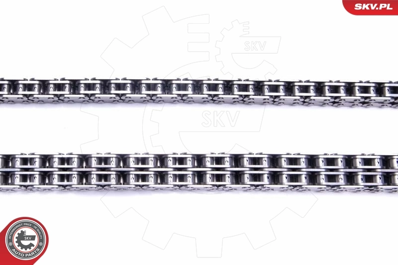 Timing Chain Kit 21SKV140