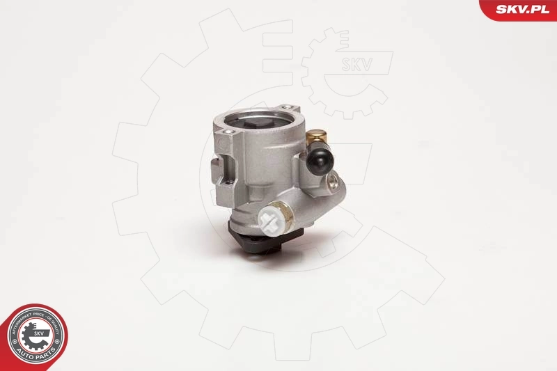Hydraulic Pump, steering 10SKV055