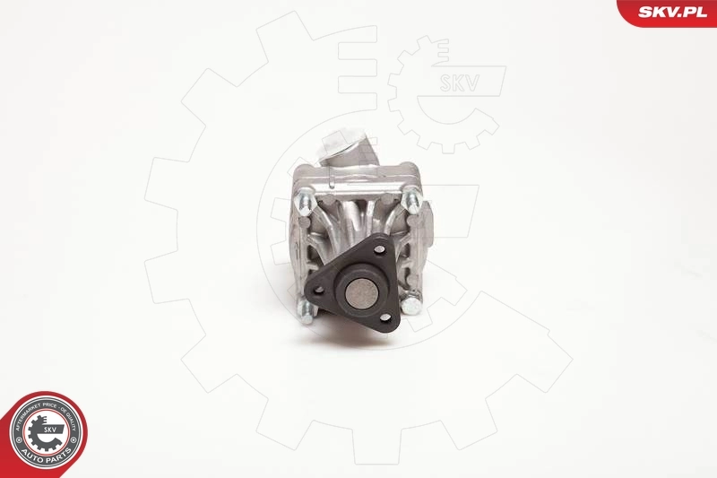 Hydraulic Pump, steering 10SKV005