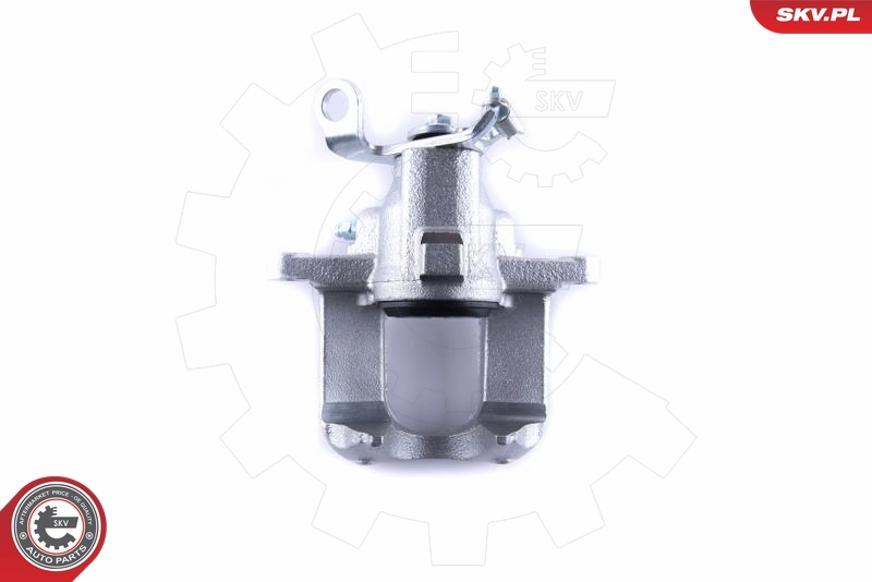Brake Caliper 55SKV264