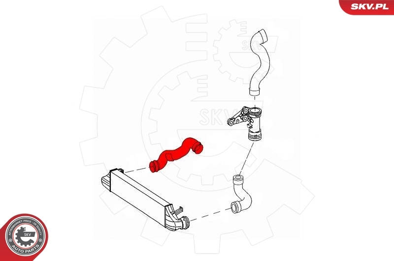 Charge Air Hose 43SKV234
