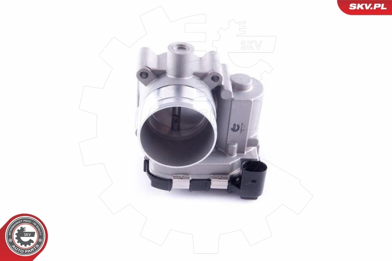 Throttle Body 12SKV100