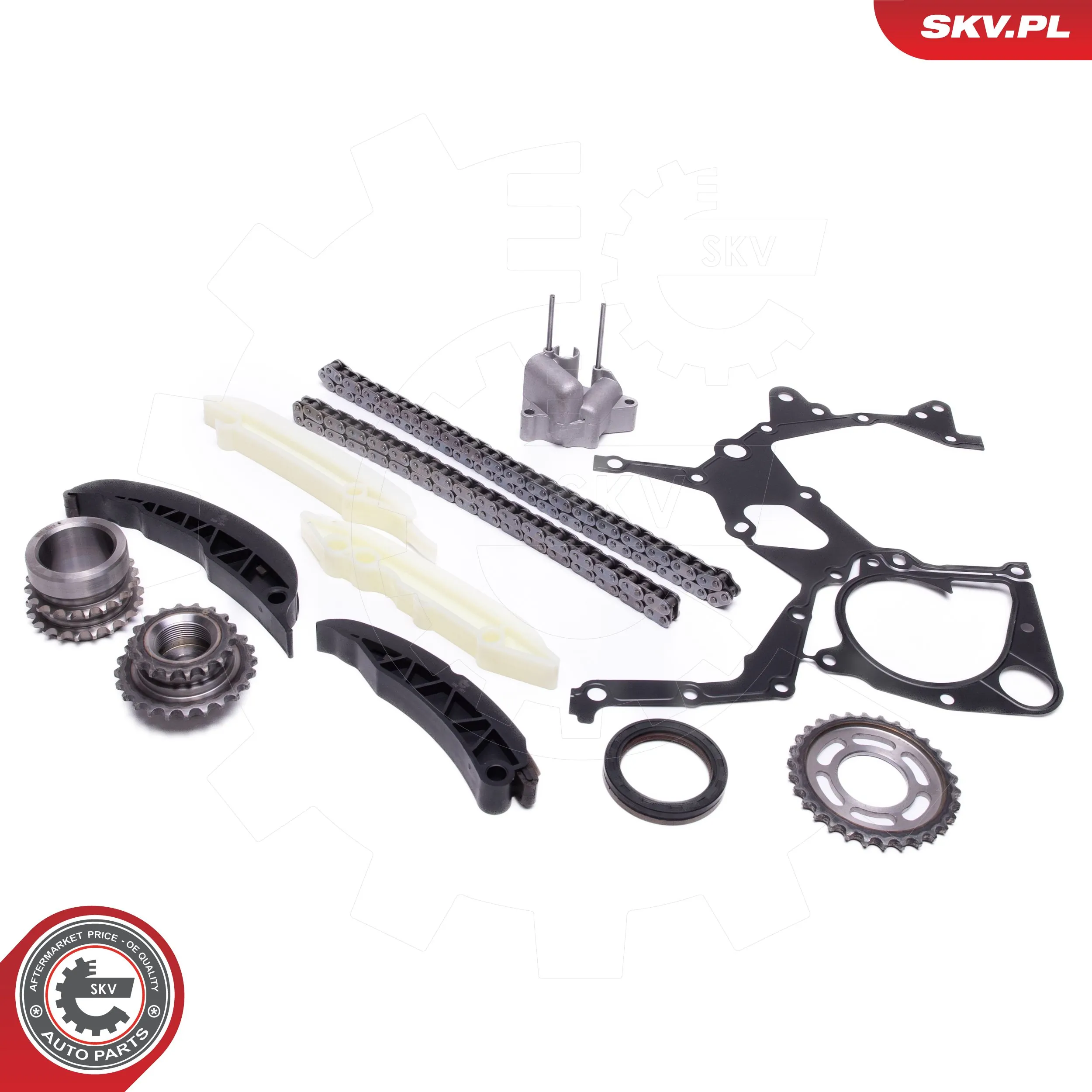 Timing Chain Kit 21SKV166
