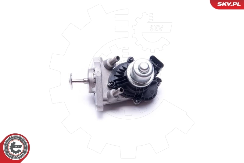 EGR Valve 14SKV233