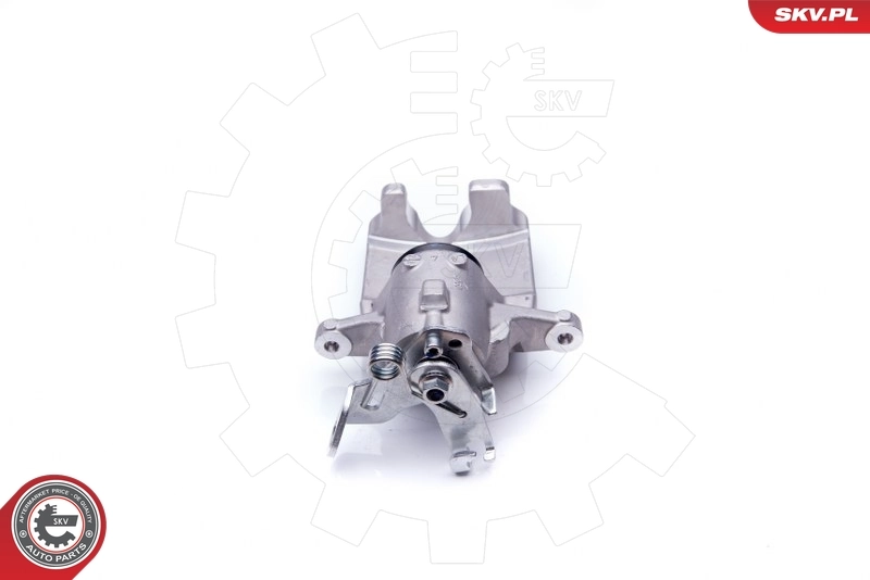 Brake Caliper 42SKV063