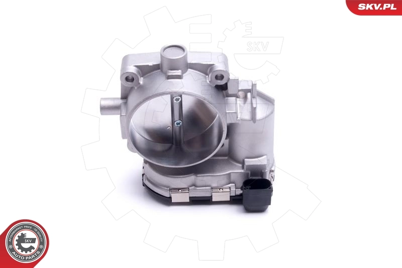 Throttle Body 12SKV118