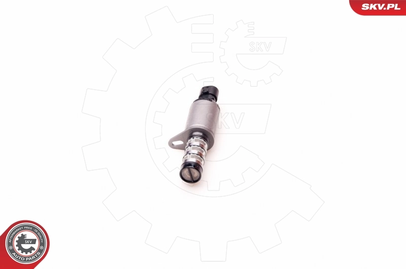 Control Valve, camshaft adjustment 39SKV001