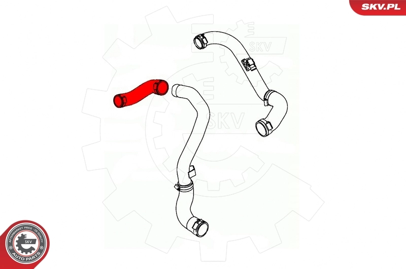 Charge Air Hose 43SKV181
