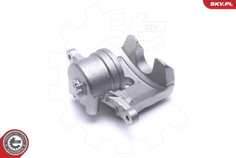 Brake Caliper 46SKV831