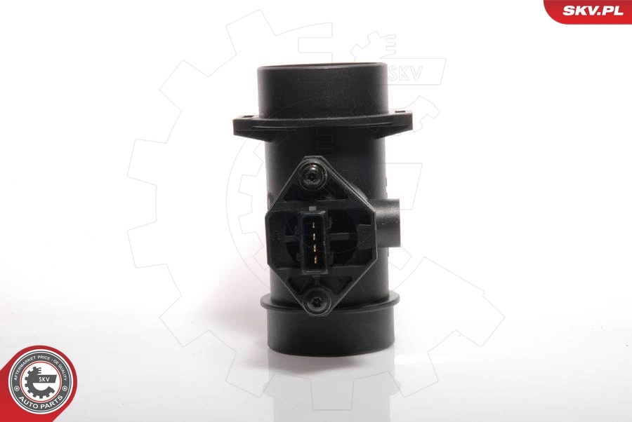 Mass Air Flow Sensor 07SKV005