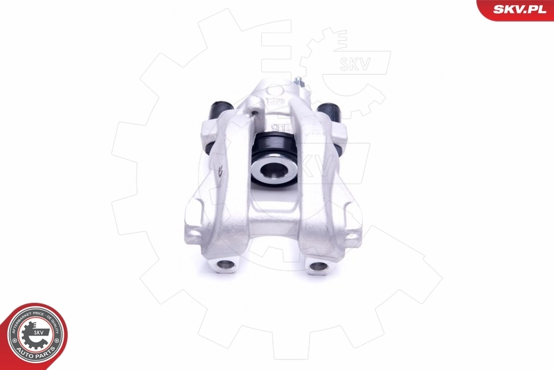 Brake Caliper 44SKV071