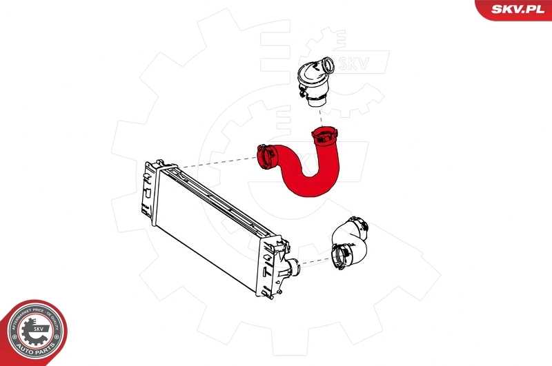 Tubo flexible de aire de sobrealimentación 24SKV774