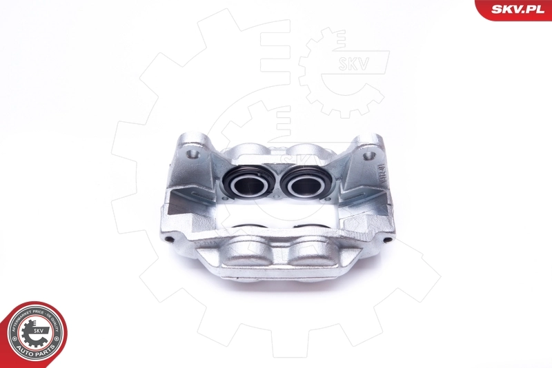 Brake Caliper 42SKV171