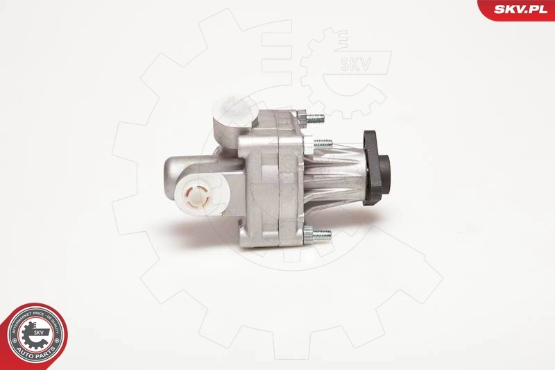 Hydraulic Pump, steering 10SKV005